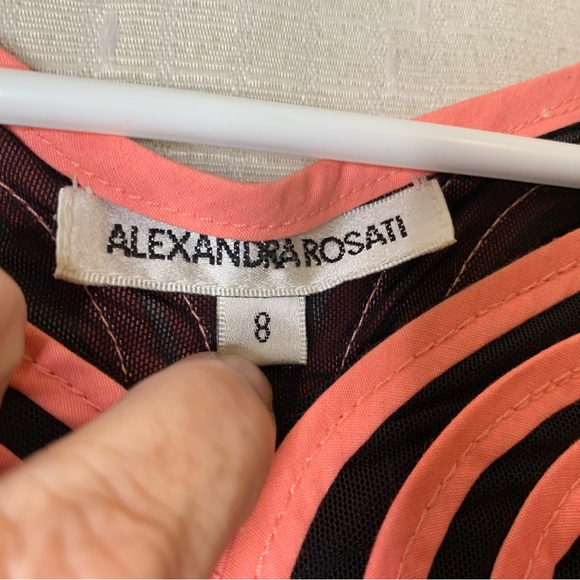 Alexandra Rosati Sleeveless Colorful Cotton Mesh Ribbon Top Size 8 Artsy - Picture 5 of 6